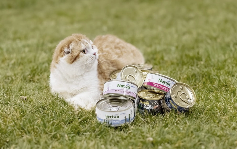 e88453b4cb4581953aacb7acf64a0223