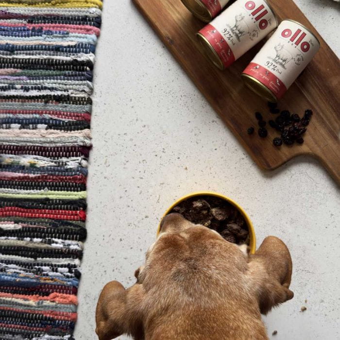 33dbbef12c62e83a50ca32baabc4d881