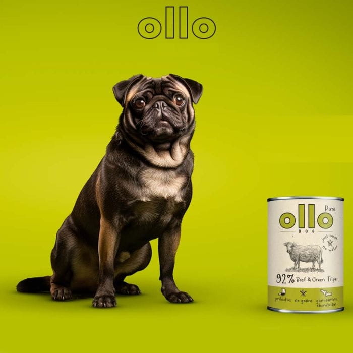 Ollo Pure Wołowina i Zielone Żwacze monobiałkowa mokra karma dla psa 6x 850g