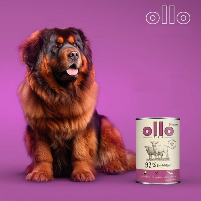 Ollo Umami jagnięcina z wołowiną mokra karma dla dorosłego psa 6x 850g
