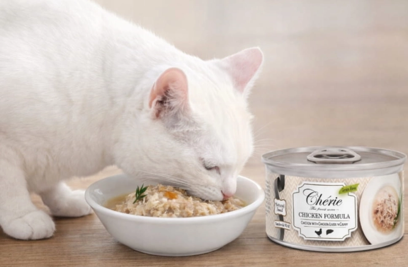 41173b36f2defbe967e02c93a441e073