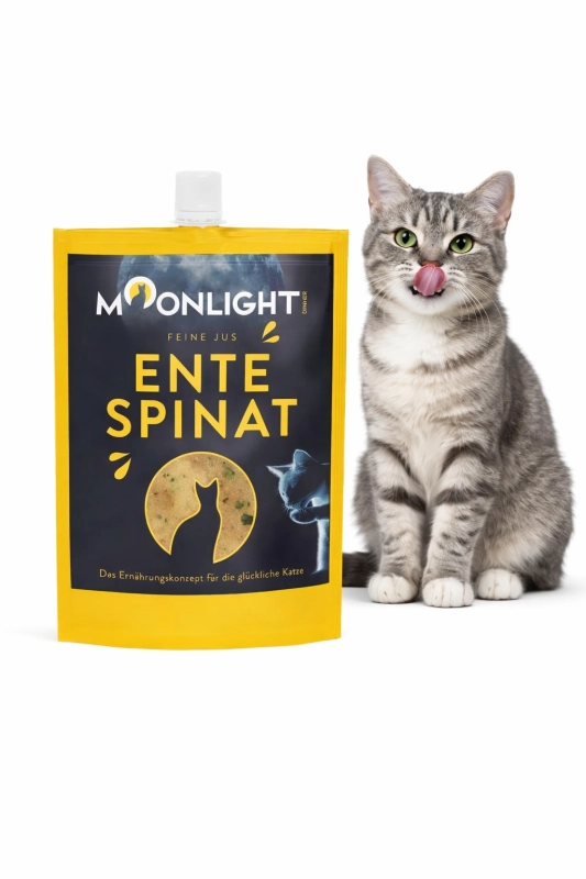 912aadb31c77c90b85a26cef38f2ff98