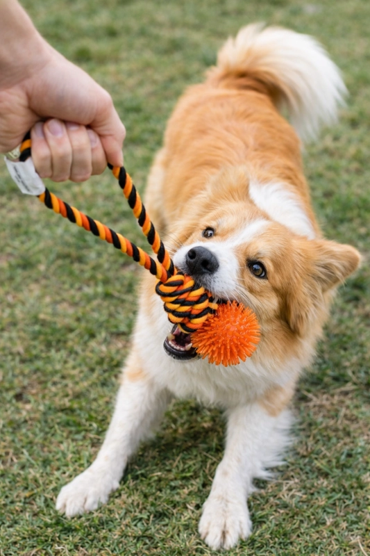 9a971de26ac28a2bb20d327703c3f901