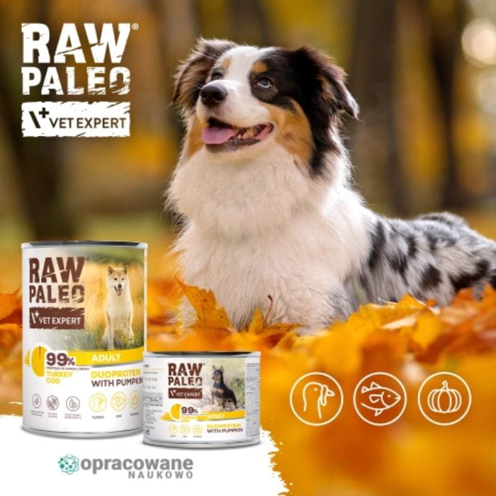 db5e81e5f6c51aef7e7cbc485efb0234