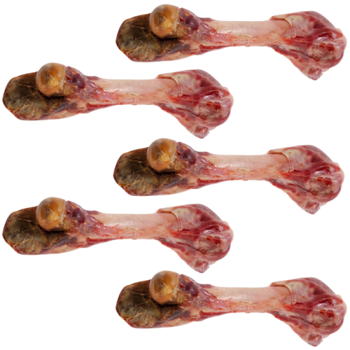 Zolux Gryzak naturalny z szynki parmeńskiej Kość dla psa L 5 x 370g