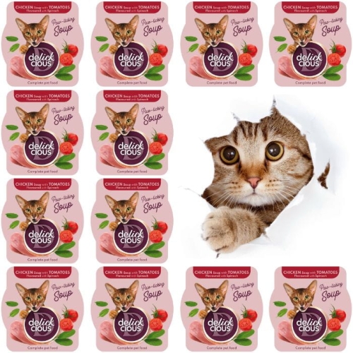 Delickcious Zupa z kurczaka z pomidorami i szpinakiem 12 x 80g