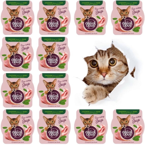 Delickcious Zupa z kurczakiem szynką i szpinakiem 12 x 80g karma dla kotów