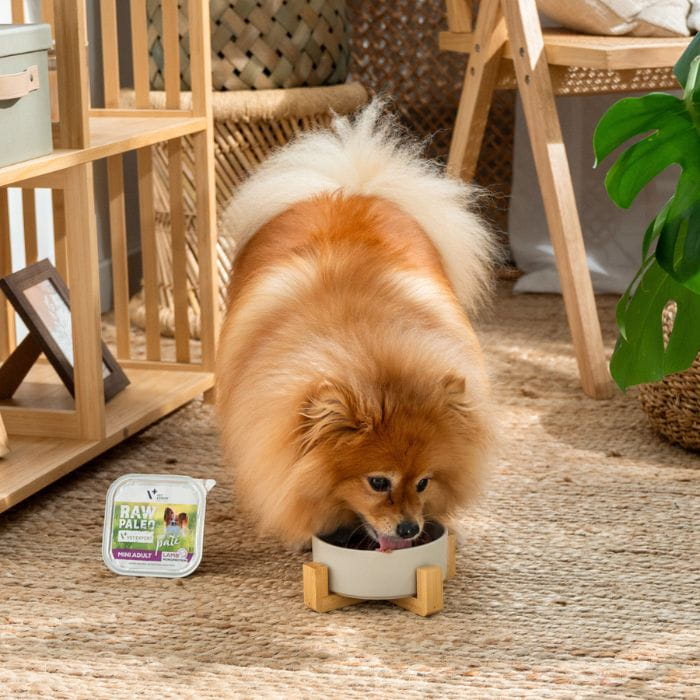 81ed80608b5b097e9b7e87dfe07da88a