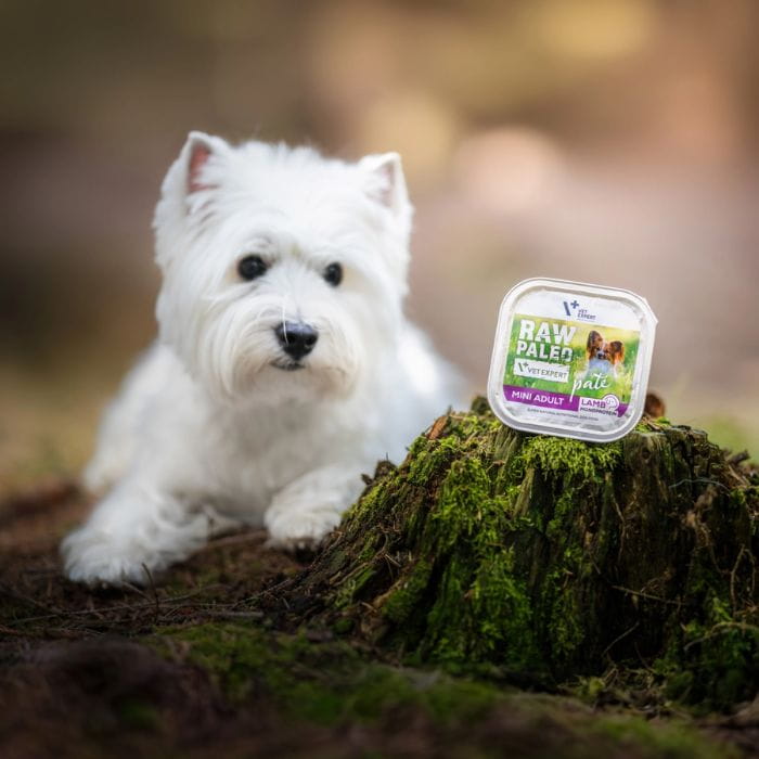 649eee89362a7b5dda61631a337185a9