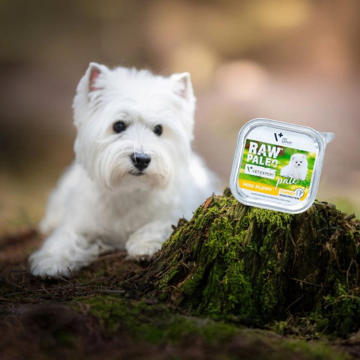 Vet Expert Raw Paleo Mini Puppy monobiałkowa karma dla szczeniąt wieprzowina 24x 150g