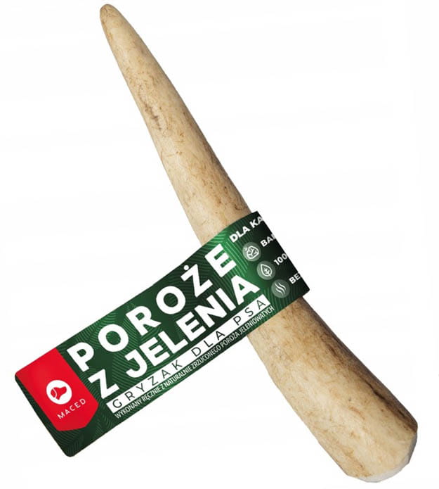 95e13ede9d7030a71f680779ebae7384