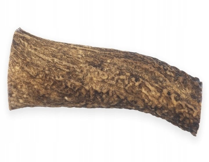 9c128fbff0fabca3e2afde25d4925447