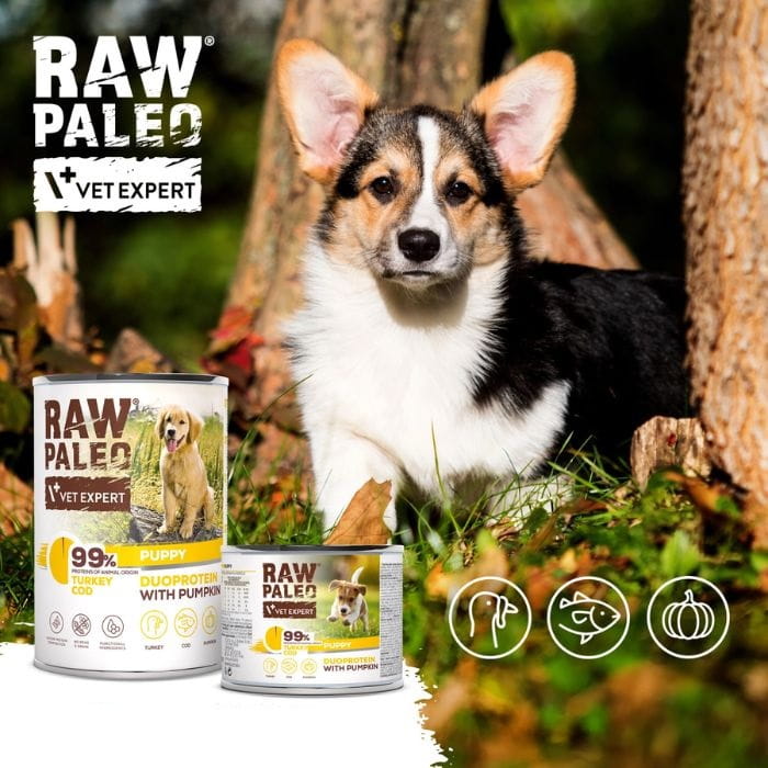 86e6457dac0ed506e17be1ad7de8b401