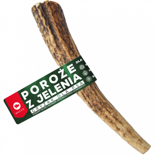 Maced Gryzak dla psa Poroże jelenia L Hard