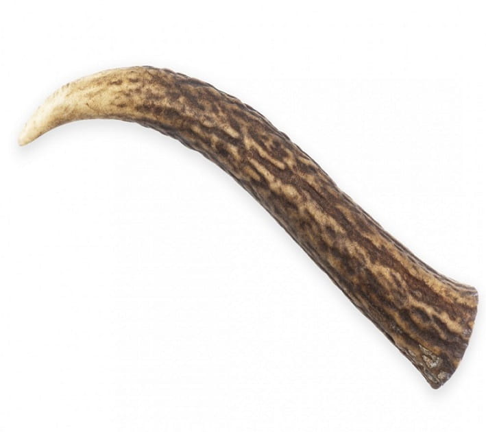 f205c384621ed65db26827f6da65ff27