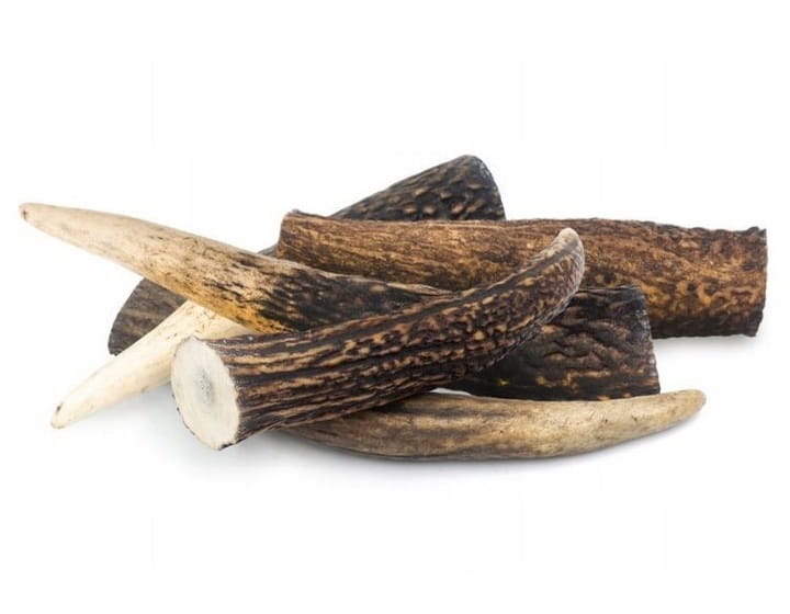 5329cc01dc0eb5db0dedec5cdb7c8ed9