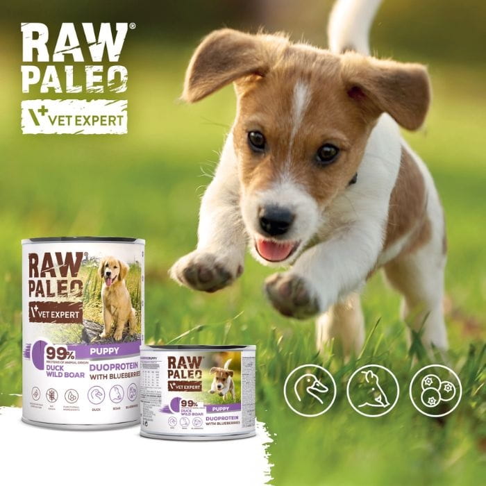 db316e05fa7ebb6bfc935de94a3e322a