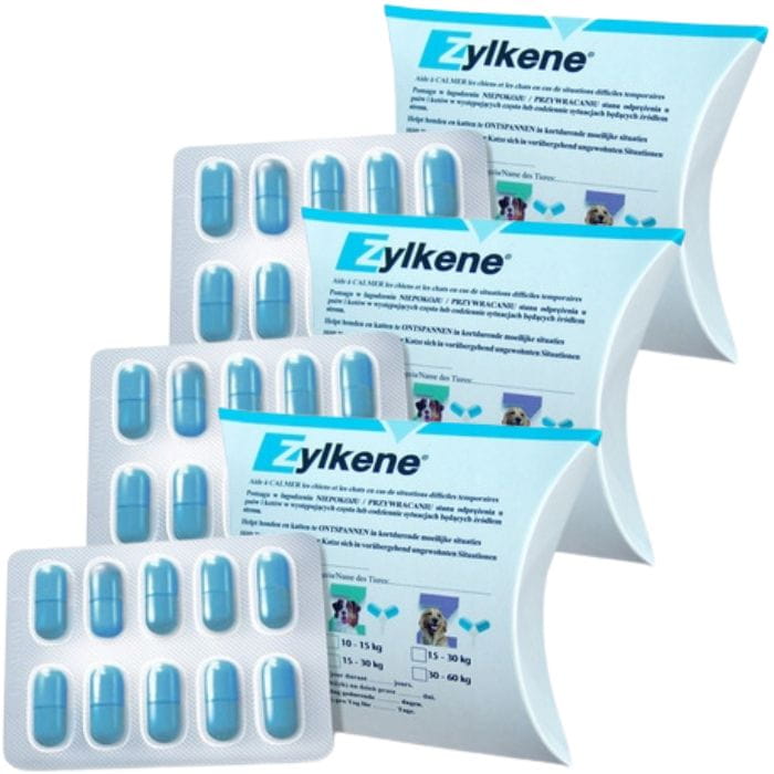 013bfe21979e7d41bb1c095df1149084