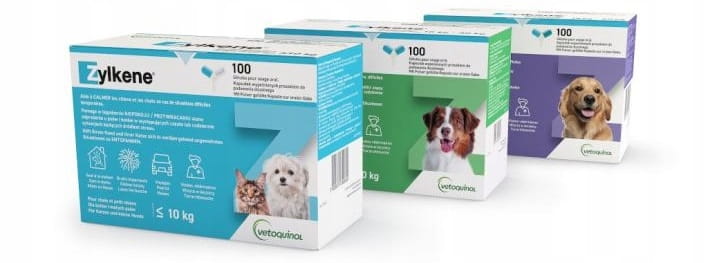 72c964a3fcabc1f5c05580ef7f224a92