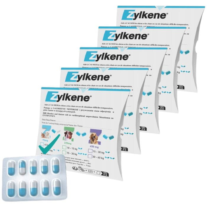 19deab89fc4c3cd9f1092e5267efc3be