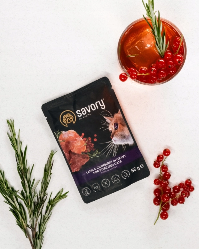 61de5671ea7492b6caa28578ea51c9b8