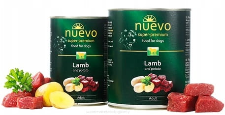 a184b53df8e9351956484f1e73afd760