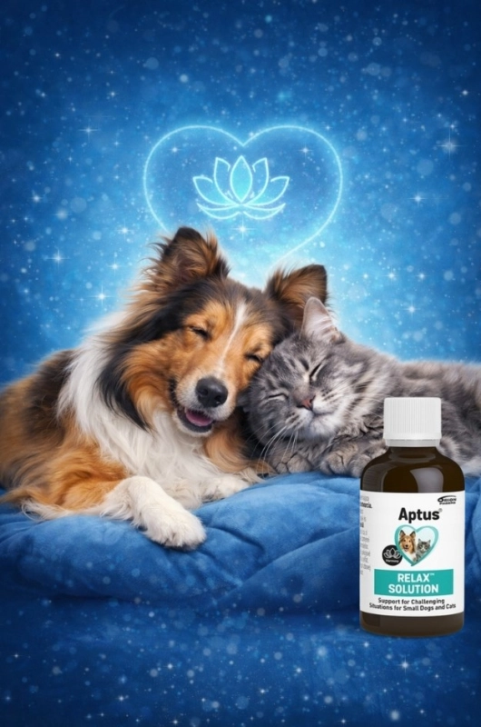 3d07a086bdba4c6384d94917d2ee4684