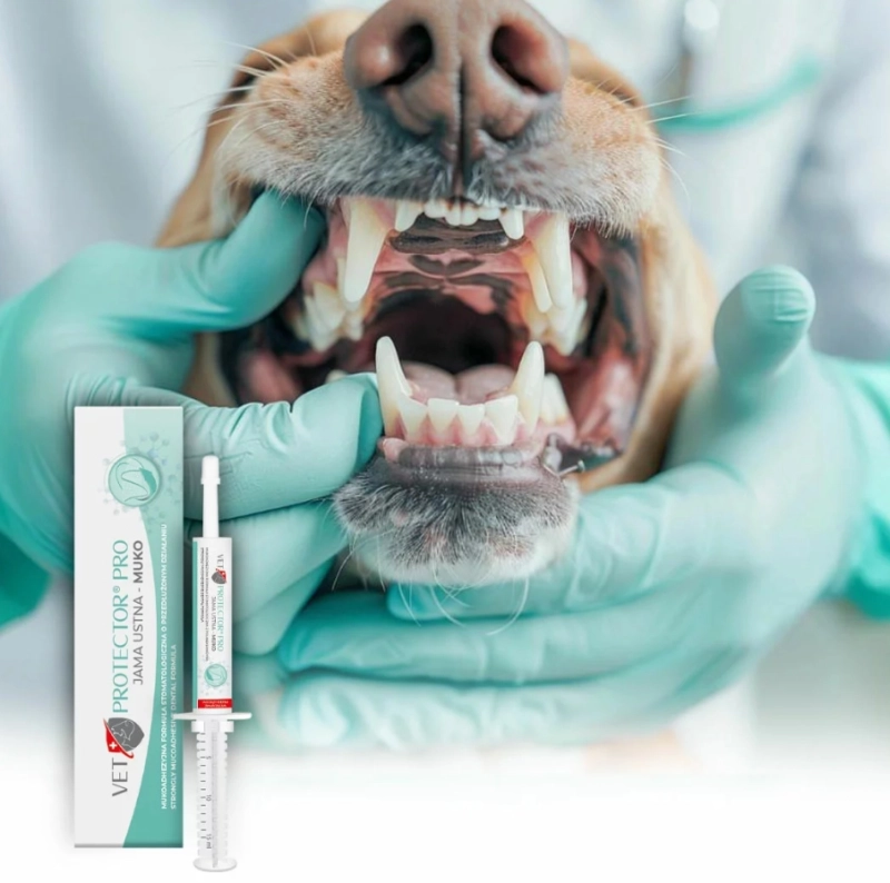 8a6505581360dfa0d3bb5fc639b727dd