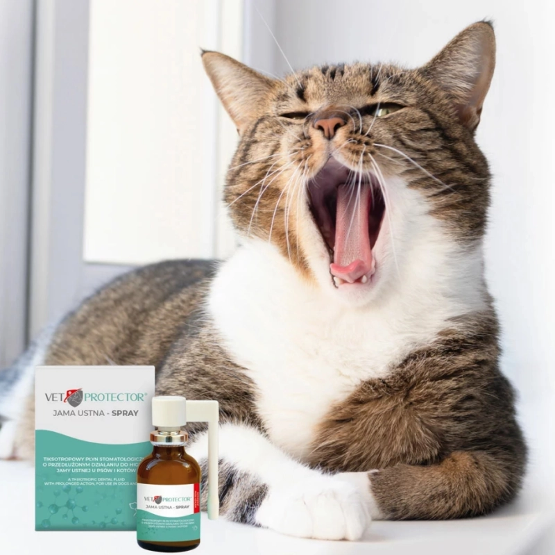 1f2e847709d57c2c94e8cf4b0121e3c5