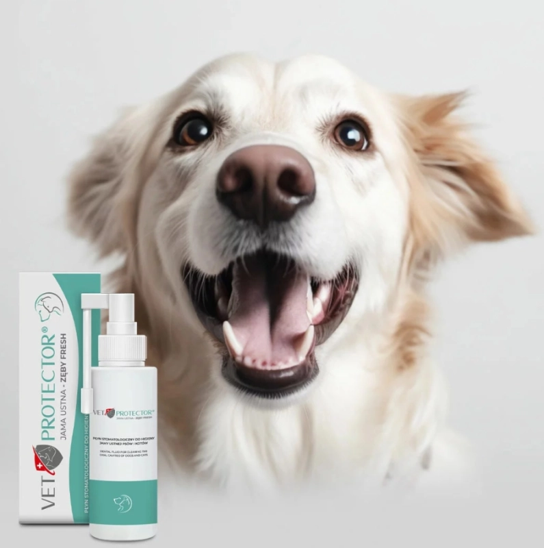 6b543ac3df64d635c02ae907674611f3