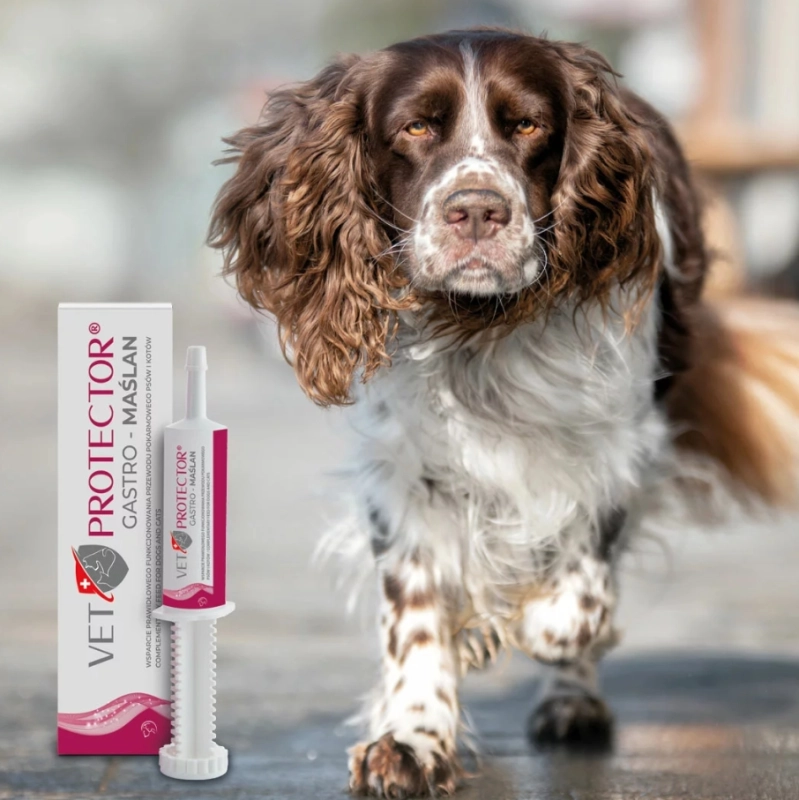 9ee10da24a9e3f3215fa1618de25b636