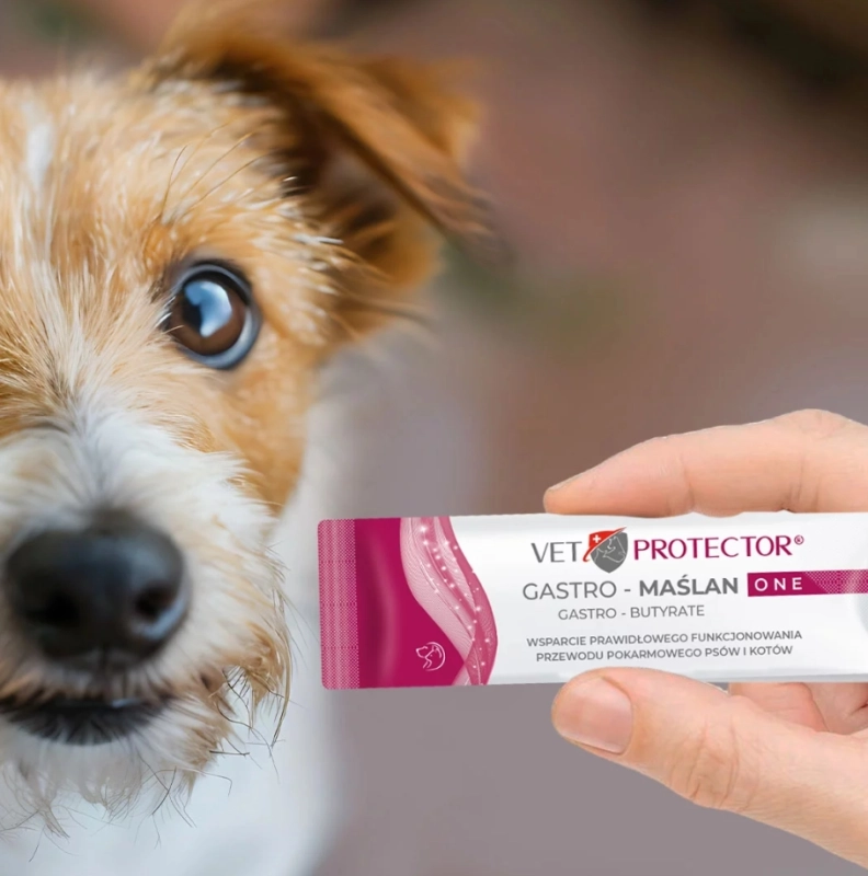 aef143f7950a8d64fa10b2302df31ba8