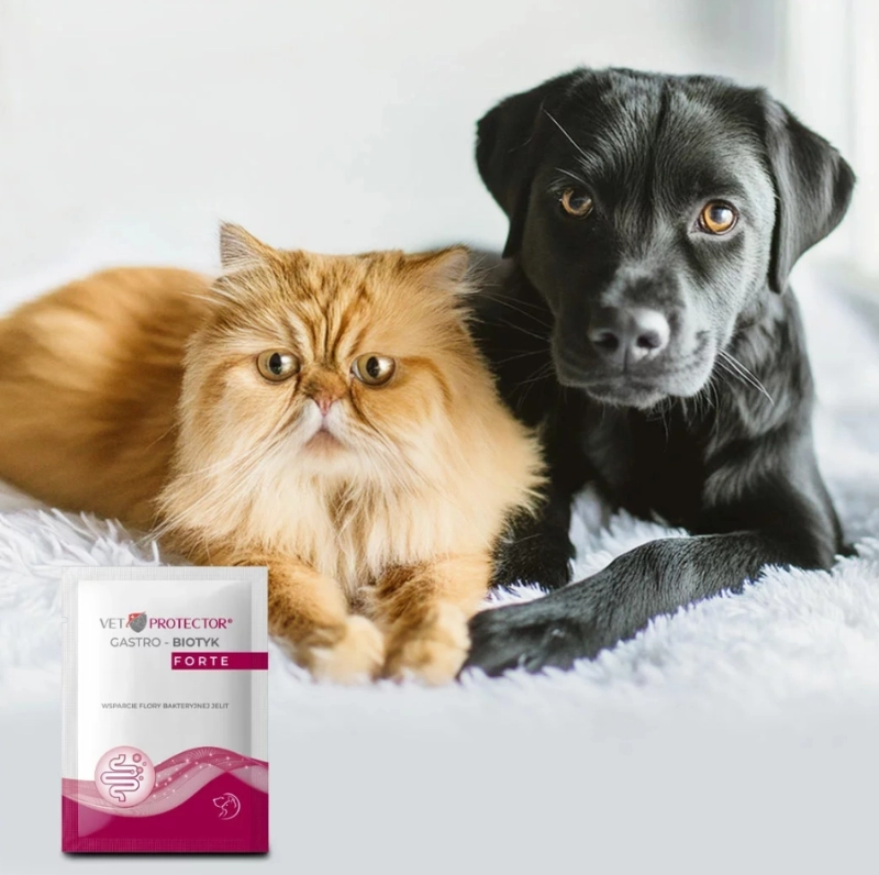 e5030a078b277201ee8e2953abdc5add