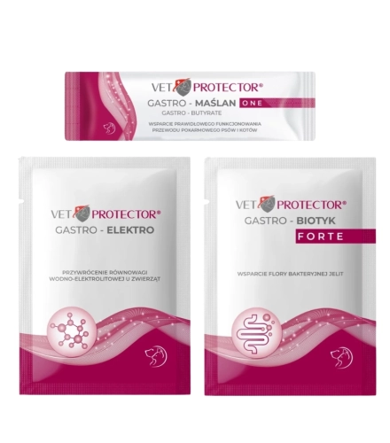 Vet protector Gastro MAŚLAN 3ml + Gastro ELEKTRO 3g + Gastro Biotyk Forte 3g