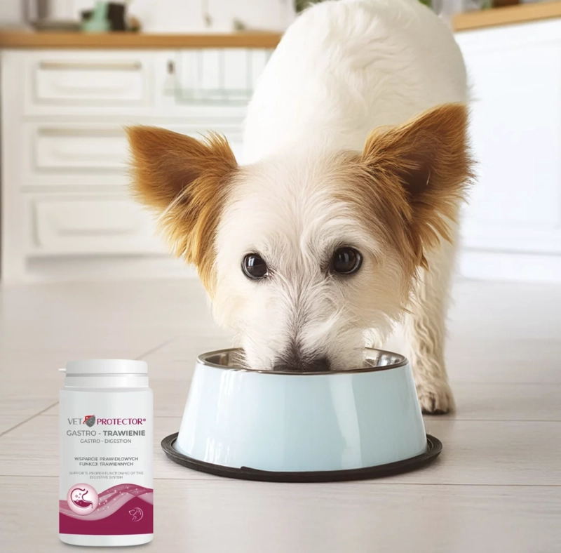 0e11a475905541946e3c1fcb7bc48957