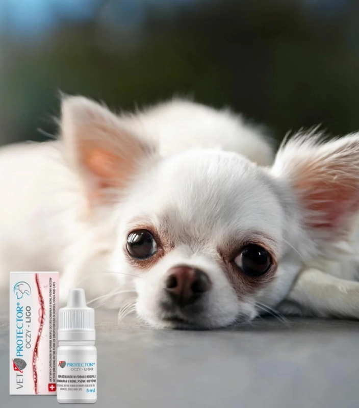 8c900a9b856ac631ab23634e90a4f450