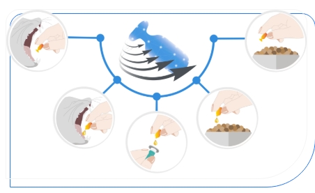 e8dfd7601659a01e503365b359ab0b17