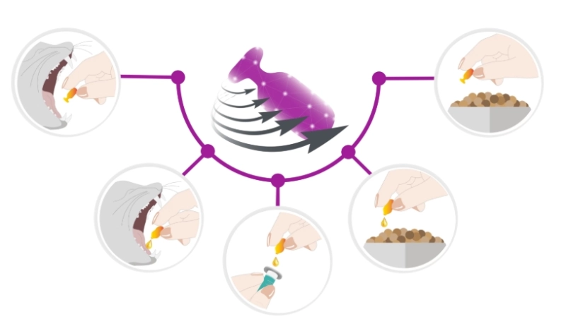 7fffeb67ffe2c25f9d8cb80e3d490a07