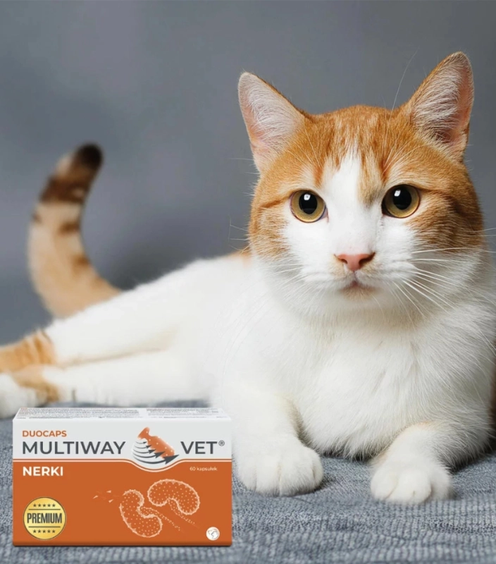 76130ccf92b59ff0d0b7a70b9a0c90b1