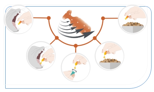 83ddbfe8b1601db1fed43eb4b934a3d1