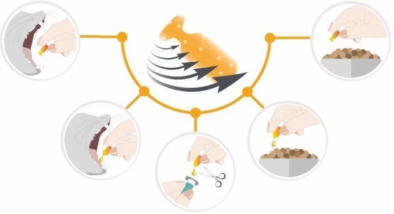 2e430292c8270f508812da0ce5257f83