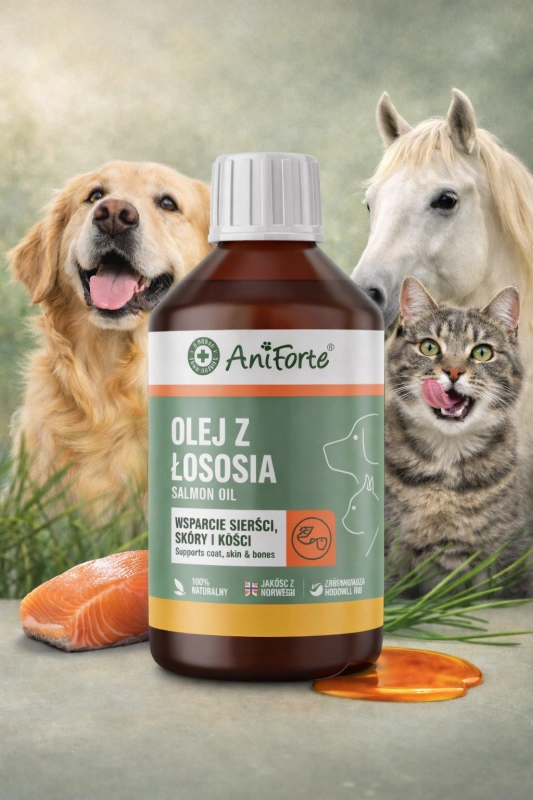 c6ff98984bd9bce9af401a2df3153c4e