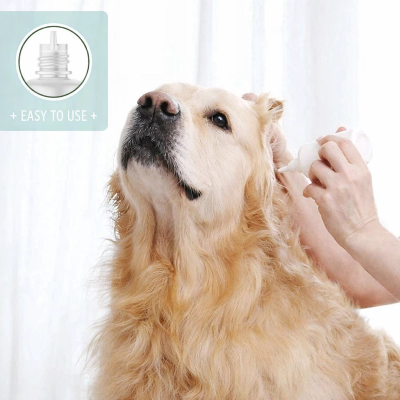 aa960e37a83cc88c2da1bfe58d9aabb7