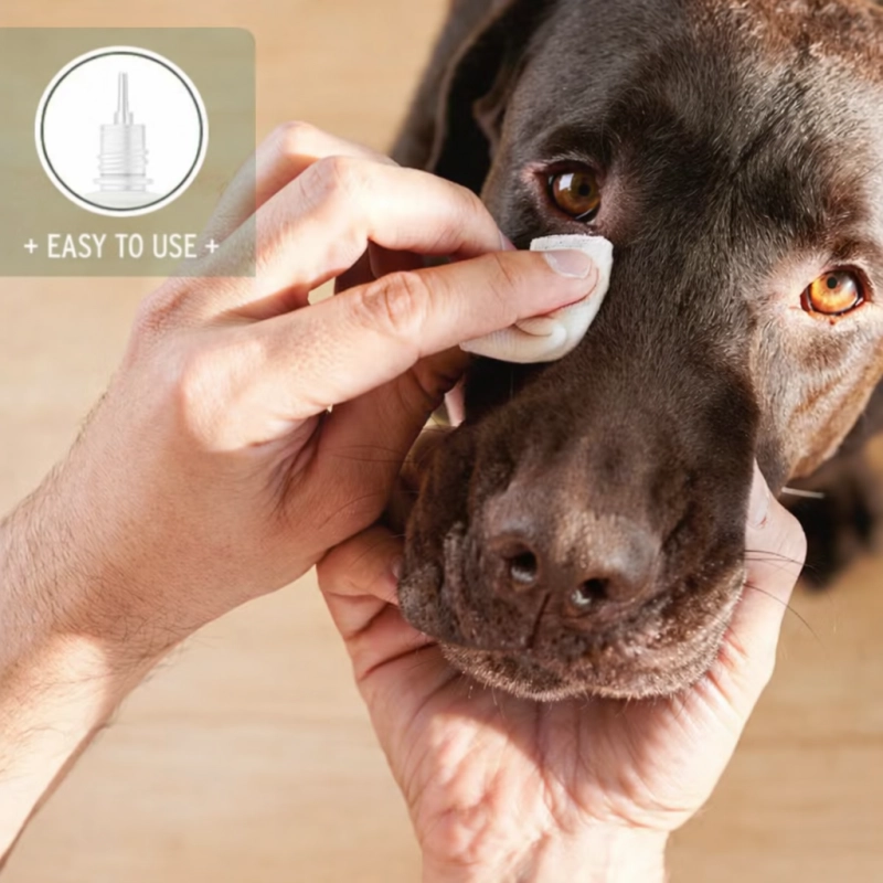 061315395581347a6d1b109fd64d98ff