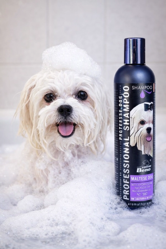 9a0fb548-dc81-4948-9465-8f859919f74d (1).png