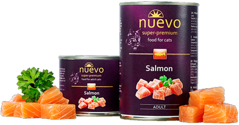 ac4988f22151805eb14417477806ff2b