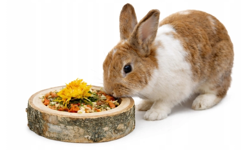 Zrzut ekranu_17-4-2026_93431_allegro.pl.jpeg