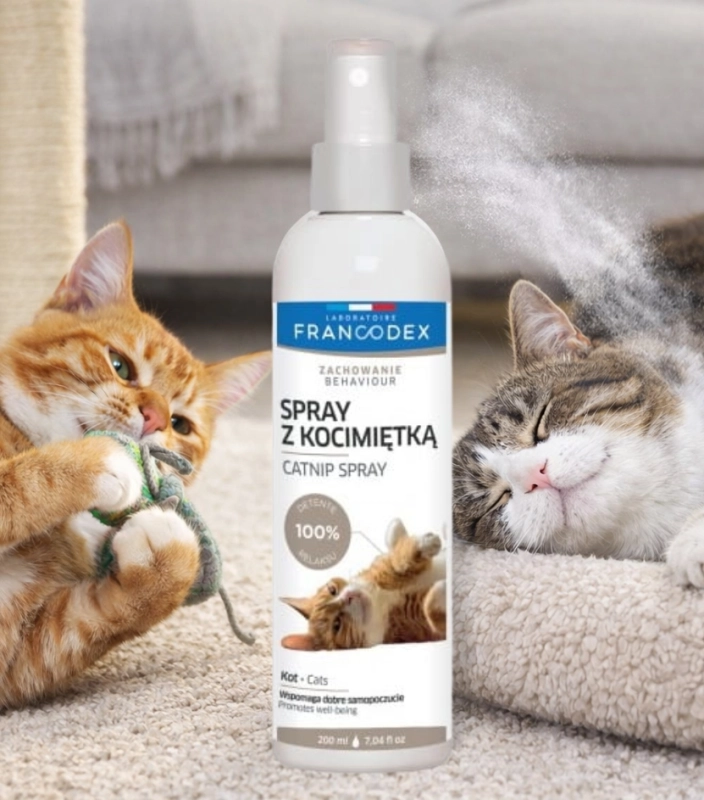 Kopia – Projekt bez nazwy (6).jpg