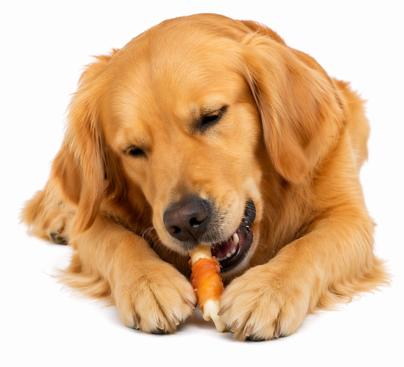 5cee7244639f6e08026241d216af57cd