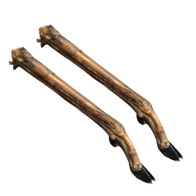 Projekt bez nazwy (4).png